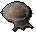 Orange egg sac